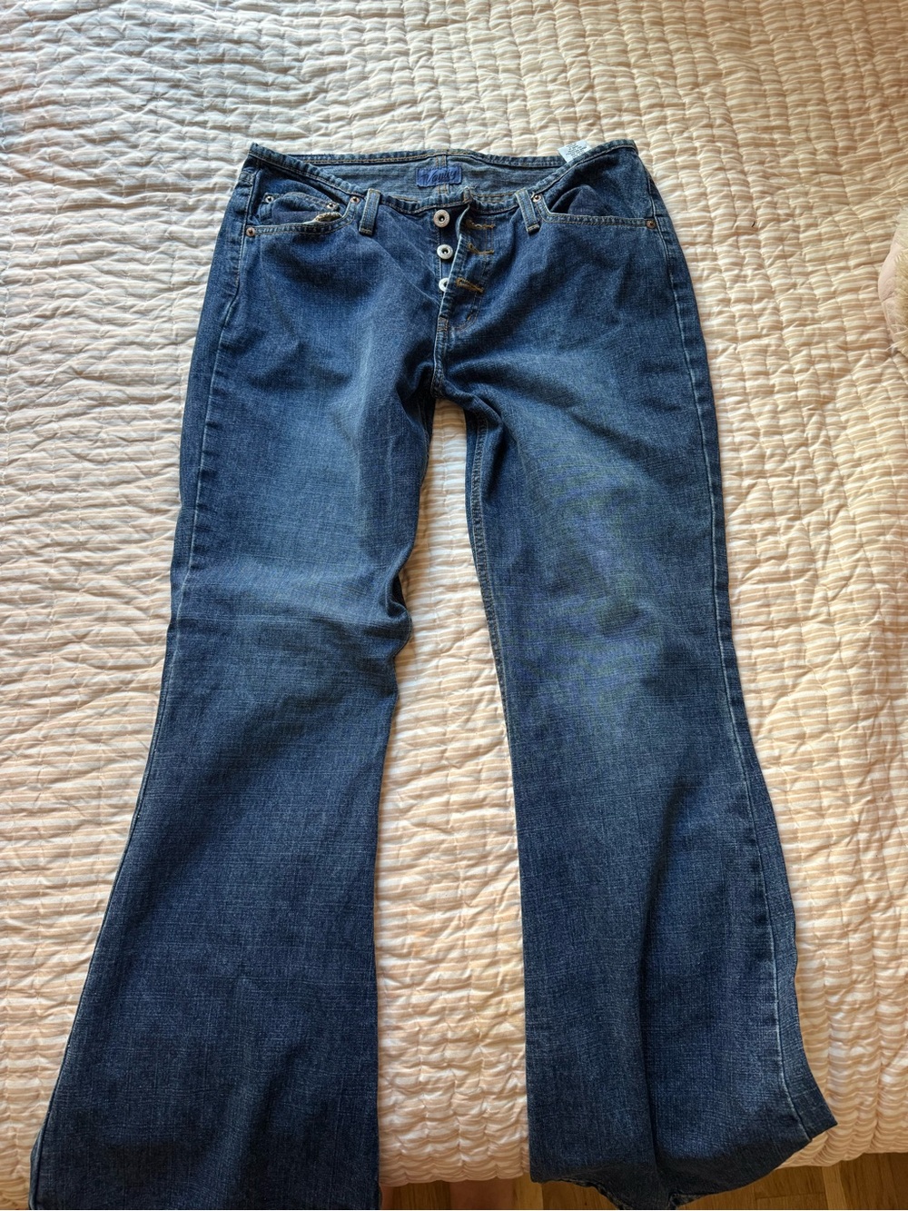 Vanity bootcut low rise jeans 29x31